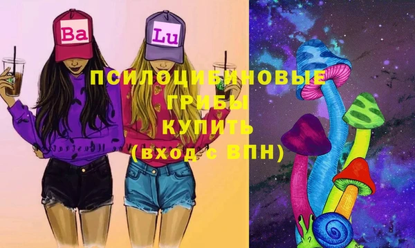 a pvp Алзамай