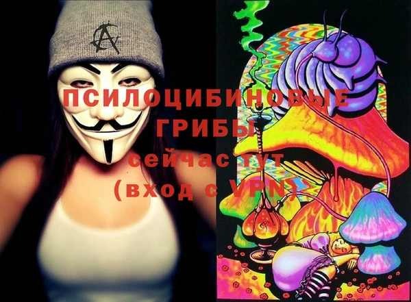 apvp Алексин